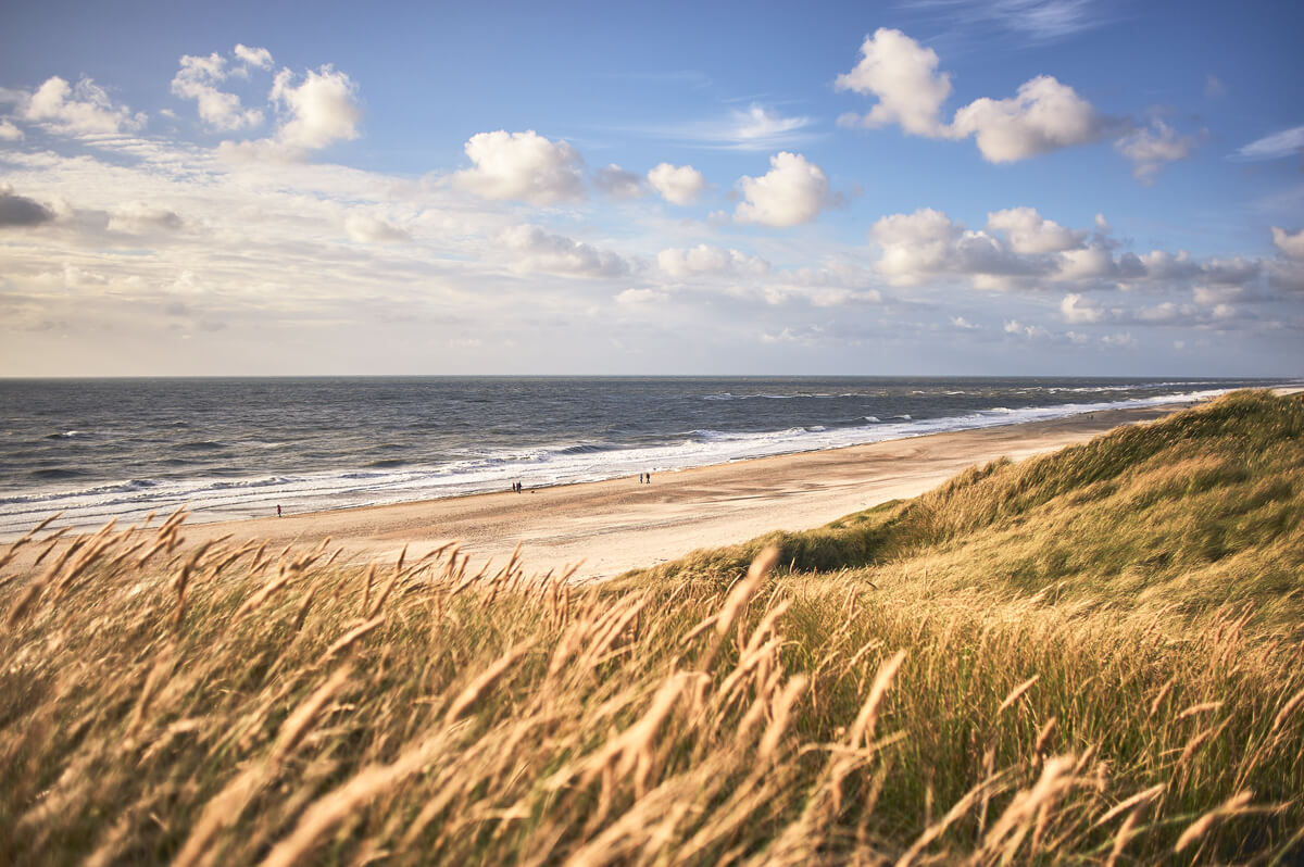 Küste in Dänemark Nikon Kamera Vollformat