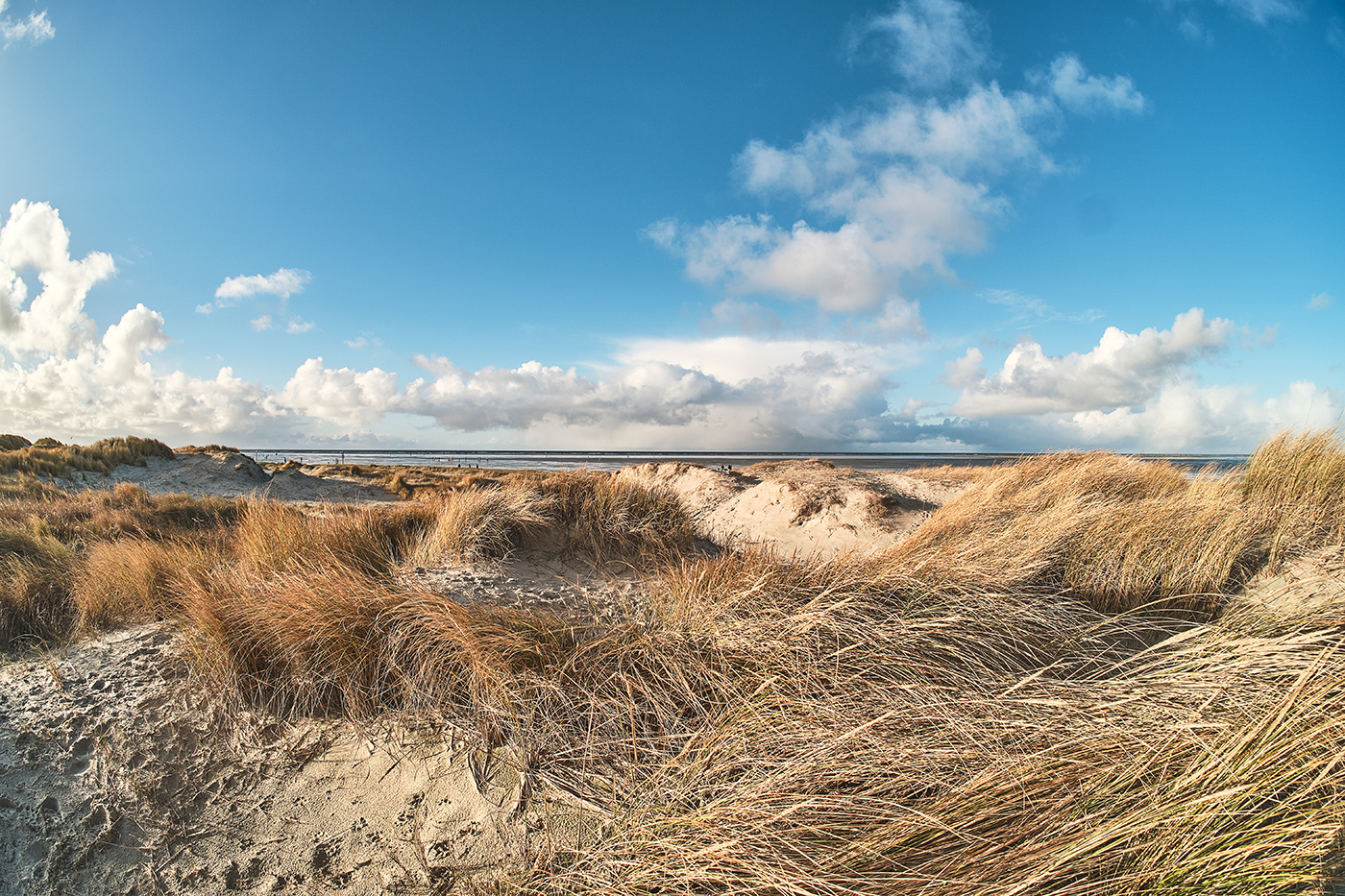 Weite Dünenlandschaft mit sichtbarer Fisheye-Perspektive