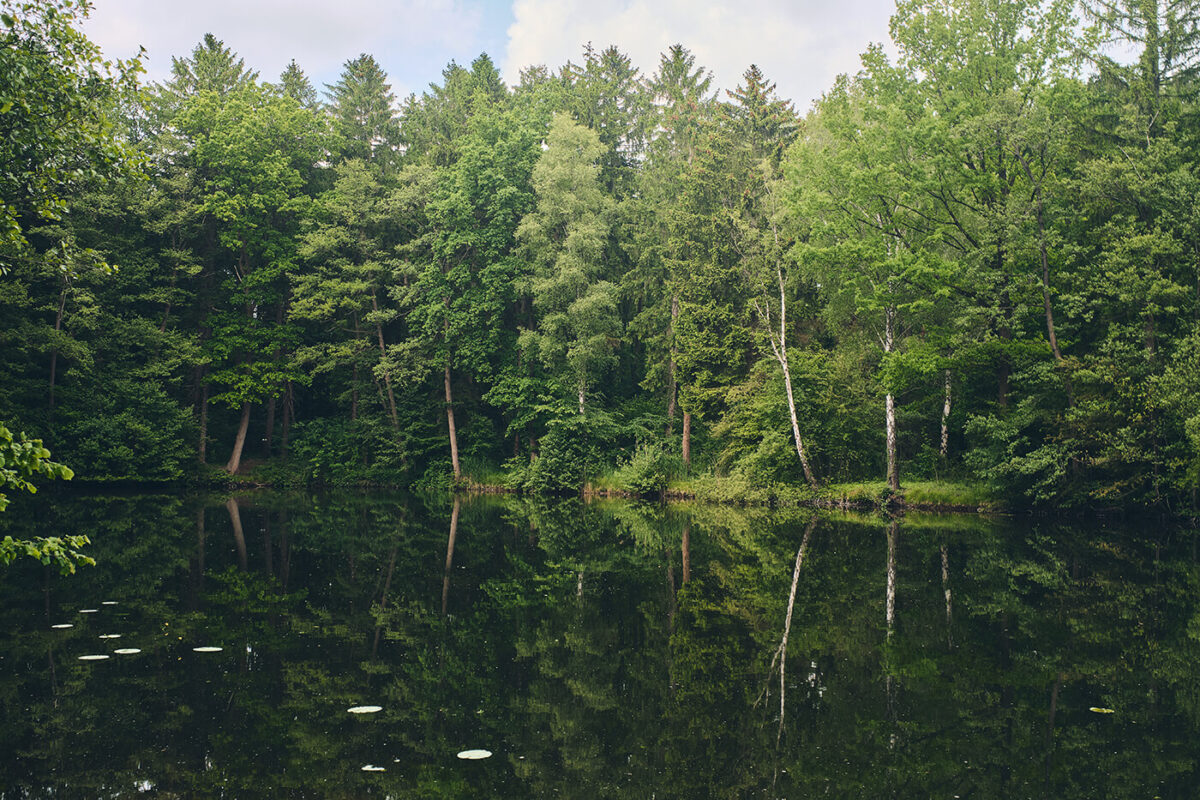 Lenscape shot with 28mm Viltrox Cookie Lens