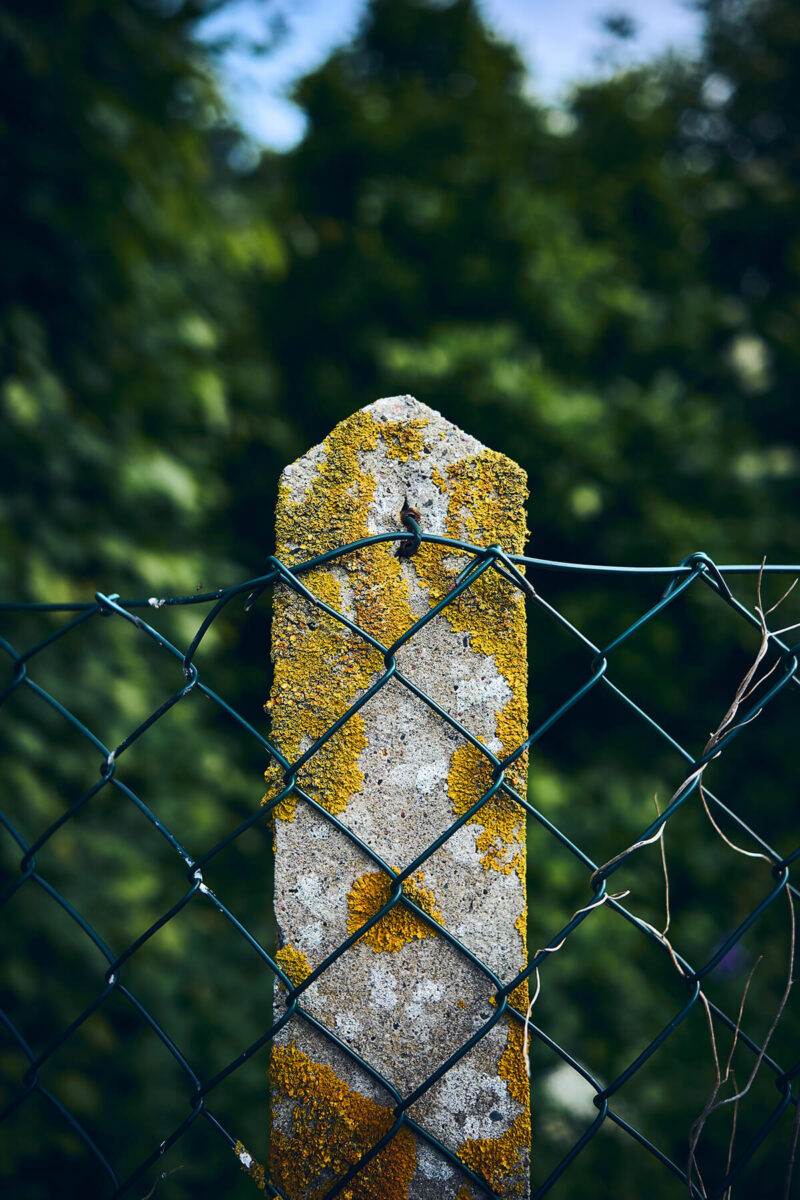 Freistellung bei Blende f1.8