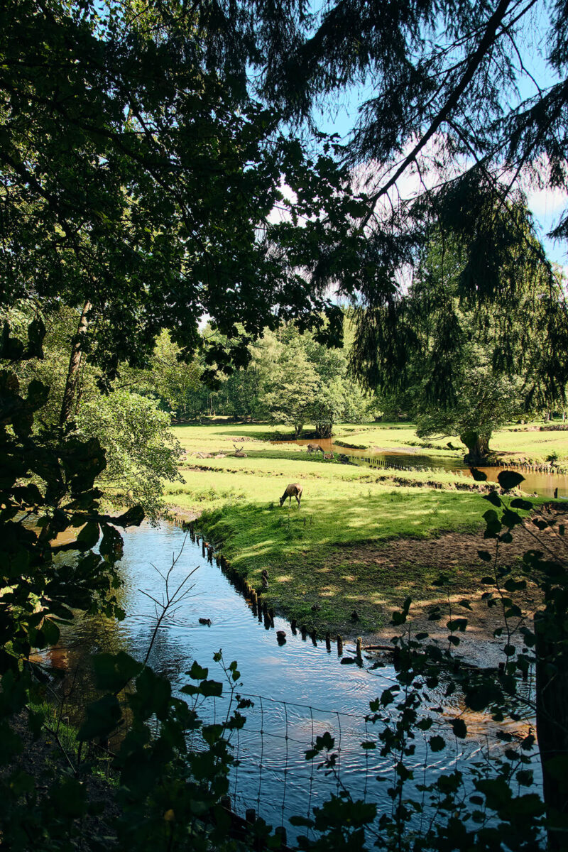 Beispiel 16mm Sigma 16-300mm
