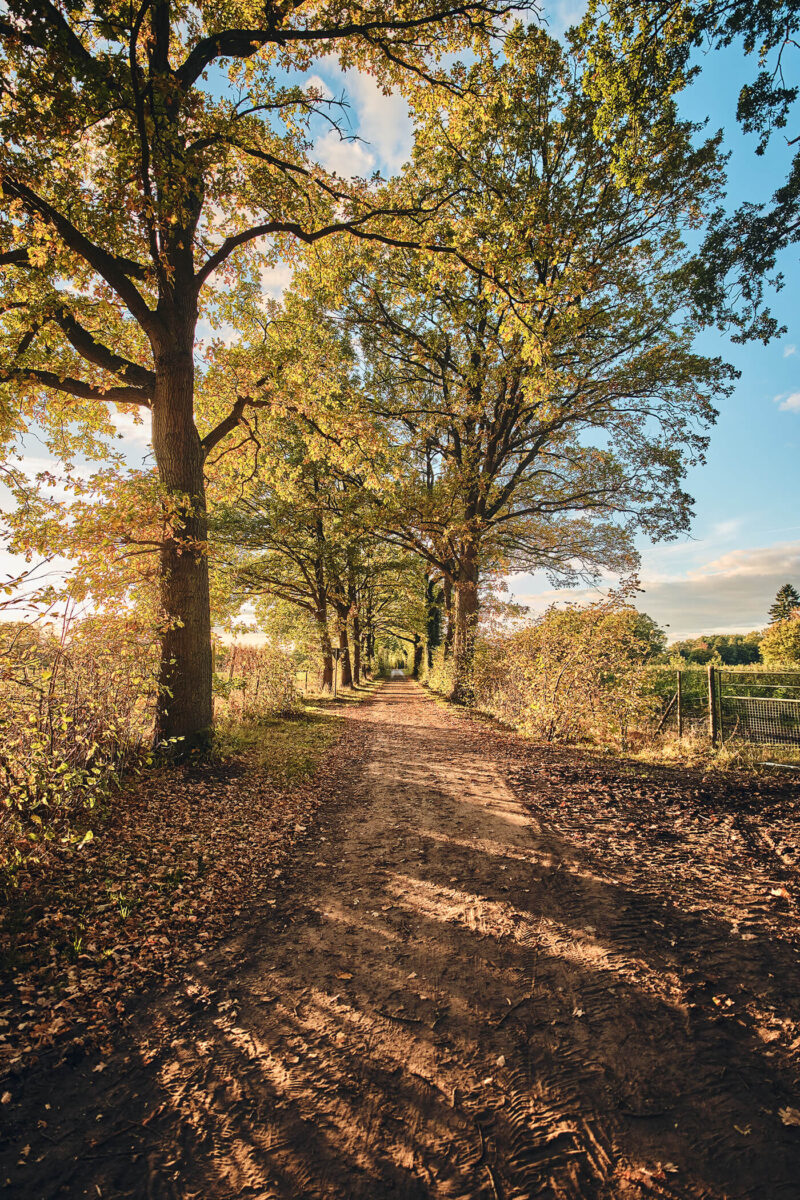 Sigma 12mm f1.4 testfoto