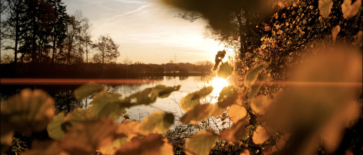 Tolle Flares am 20mm T1.8 Sirui AF