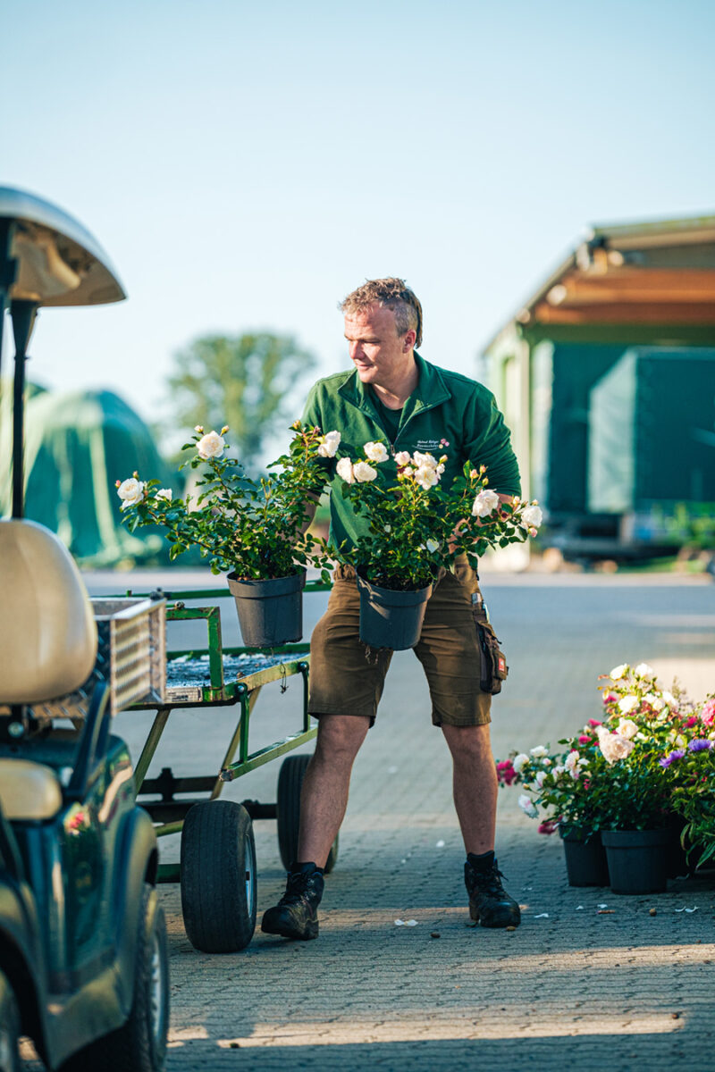 Bildbearbeitung von ImagenAI