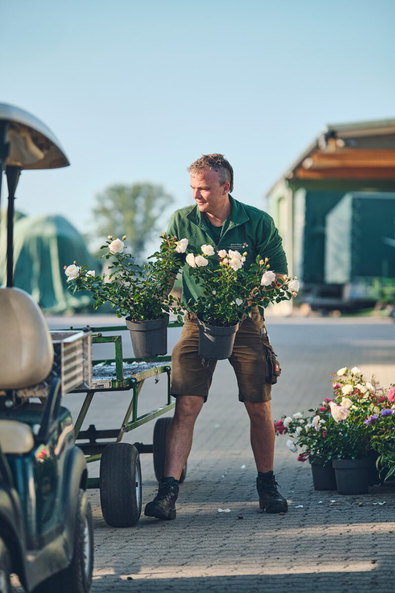 Meine eigene Bildbearbeitung
