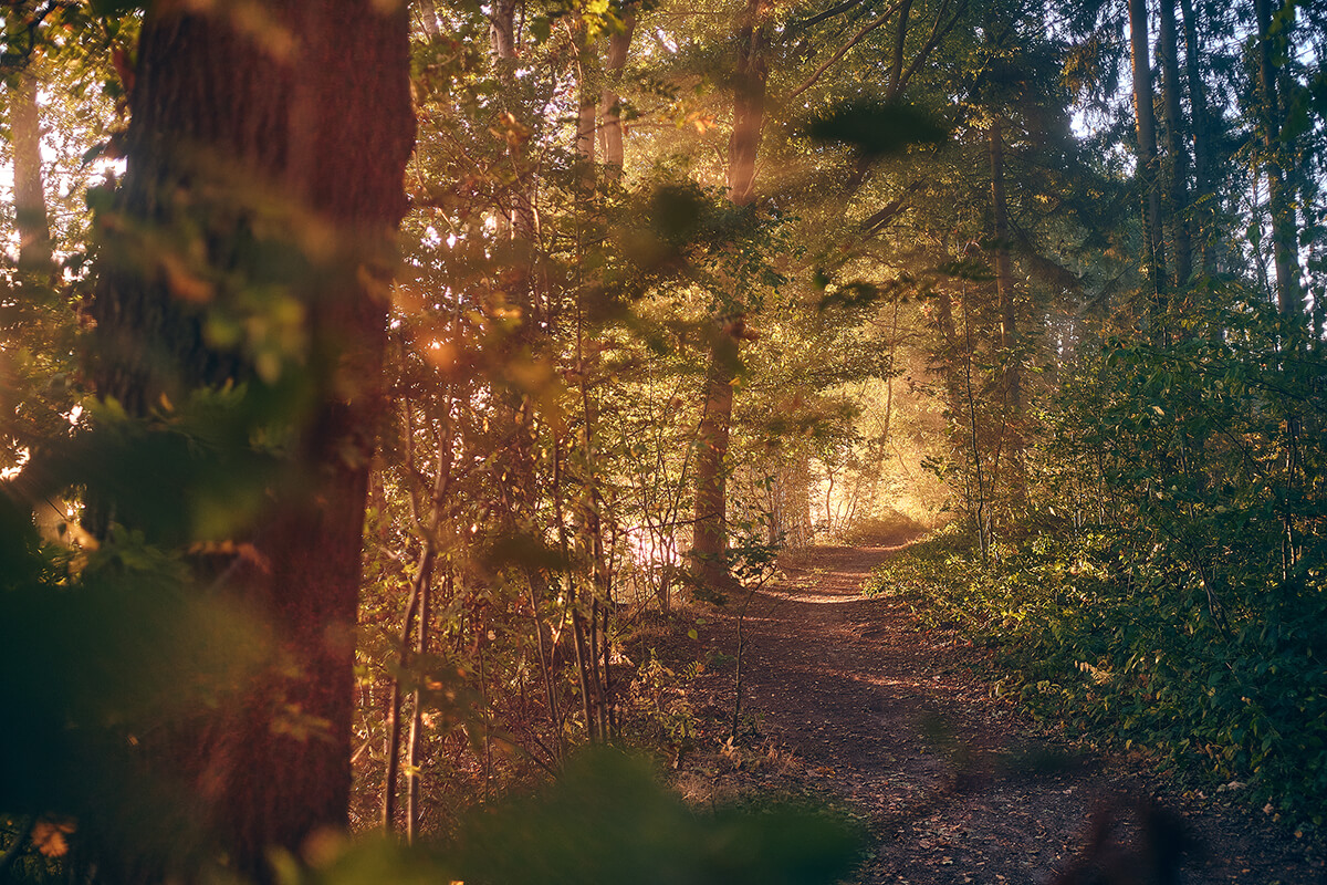 flaring on TTArtisan 23mm f1.4 AF for Fujifilm