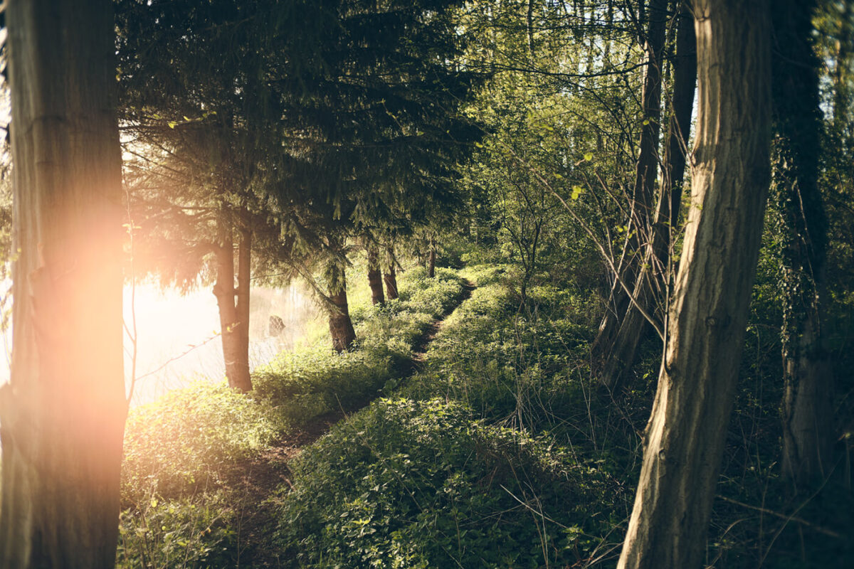 TTArtisan 23mm F1.4 nature / landscape
