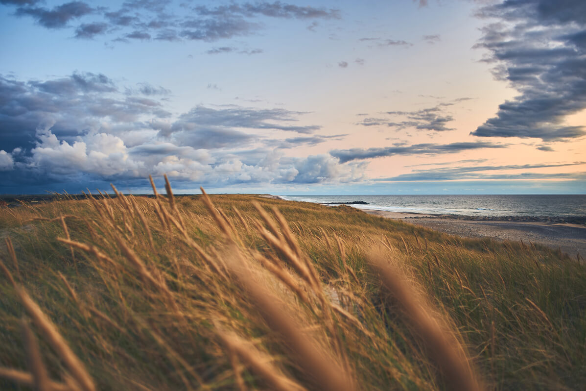 Nikon DSLR Landschaft