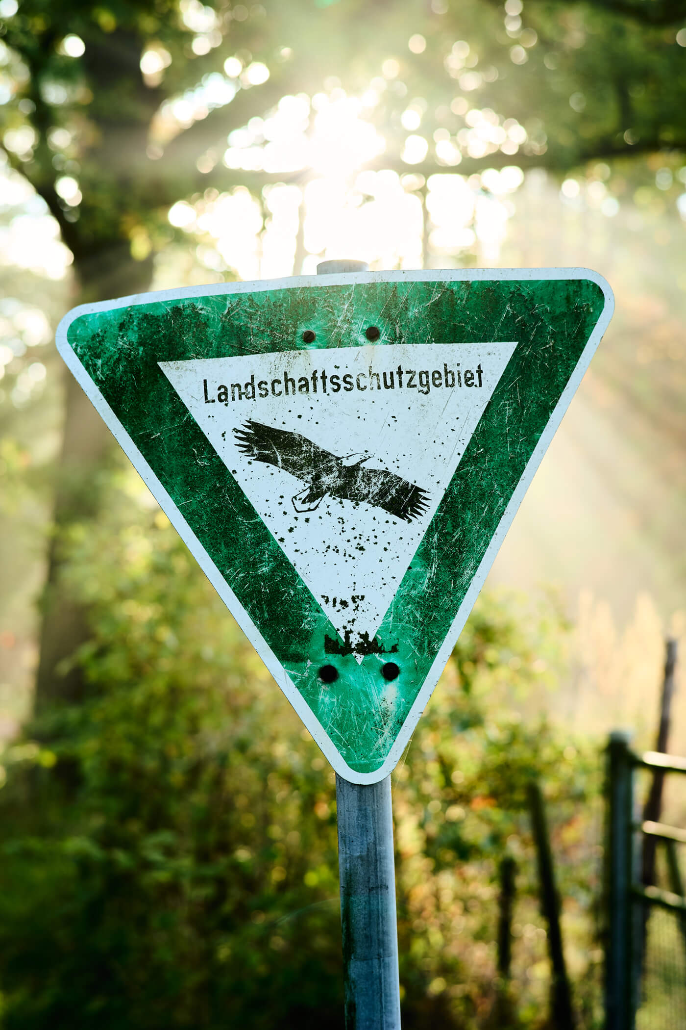 Abgeblendet deutlich schärfer - 7artisans 75mm f1.4